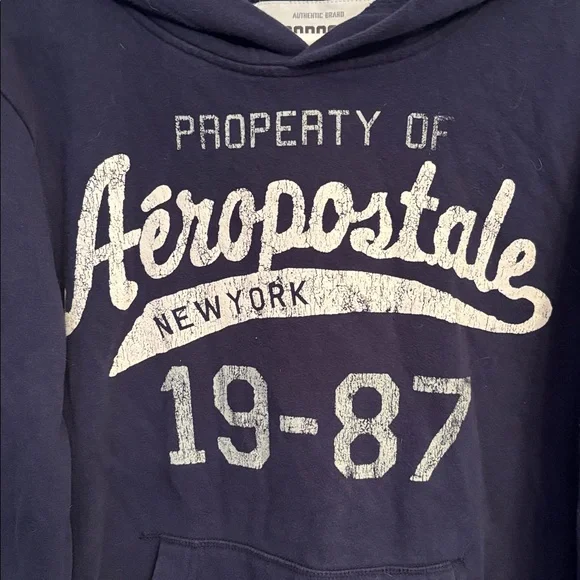 Men’s size medium Aeropostale hoodie - Picture 2 of 5